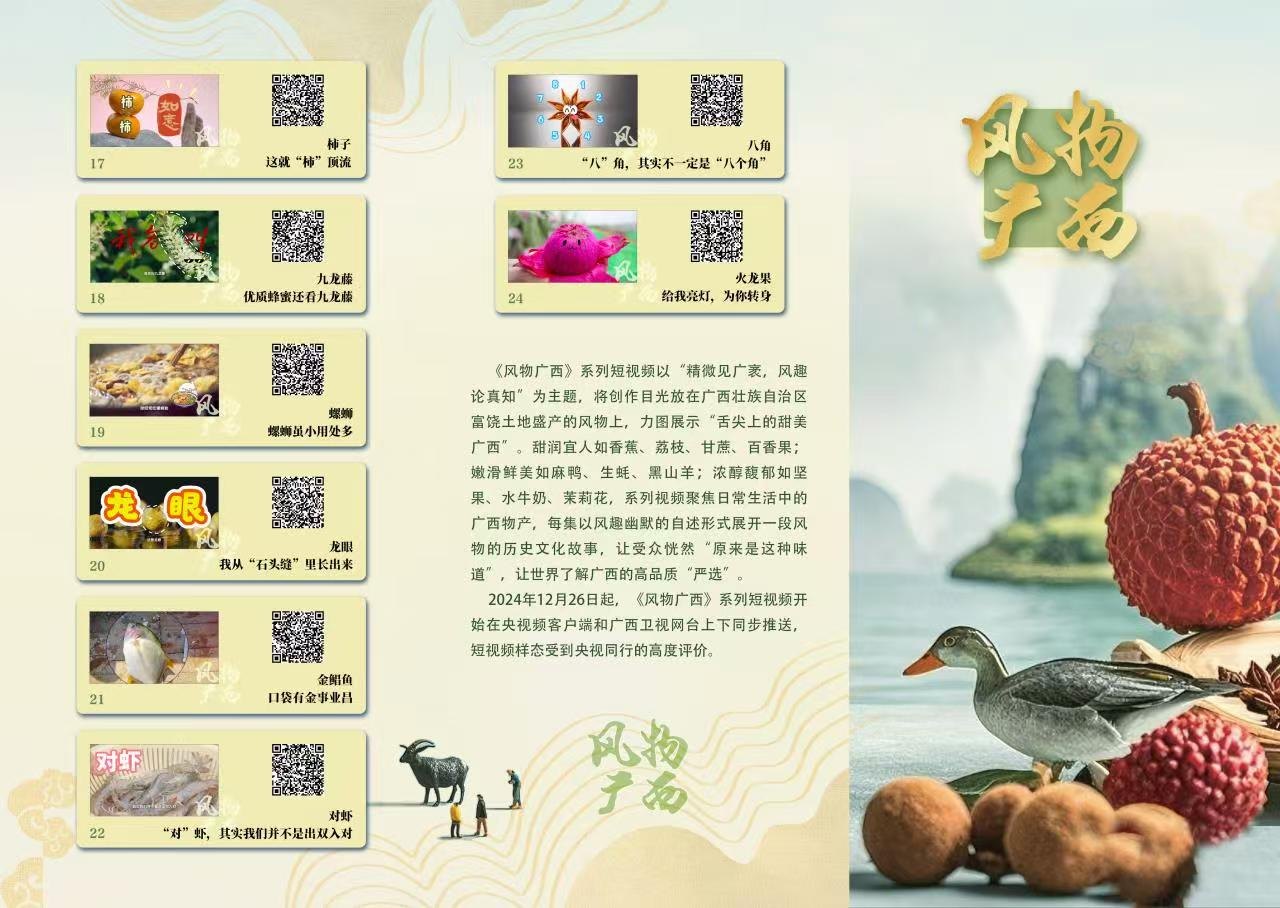 风物广西项目视觉