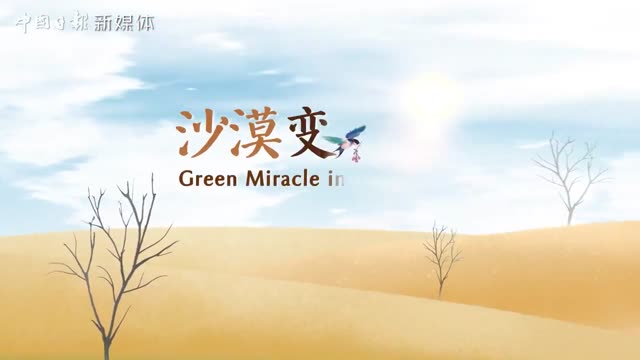 沙漠变森林-陈中瑞视频画面